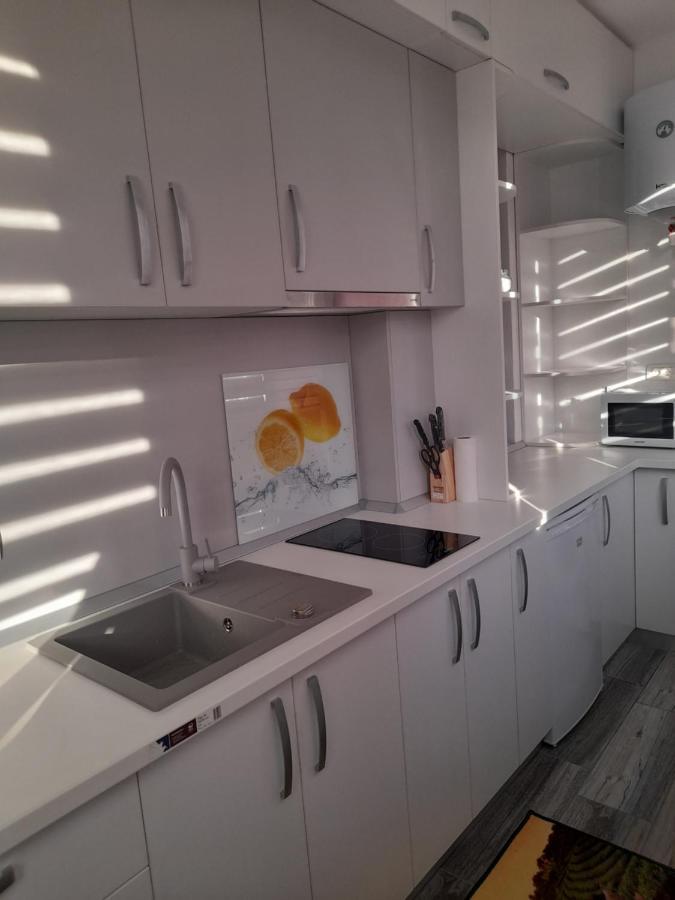 Studio * Tulcea